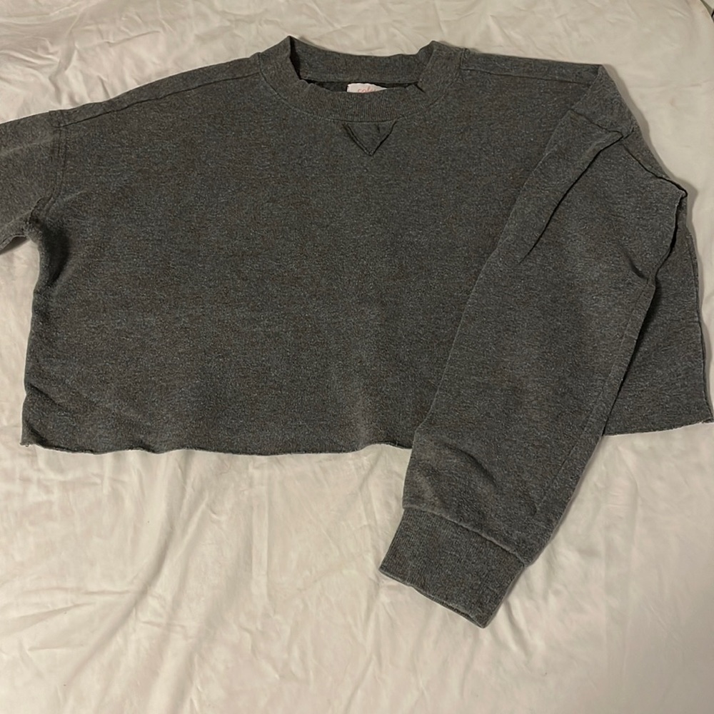 Grey Cropped Crewneck